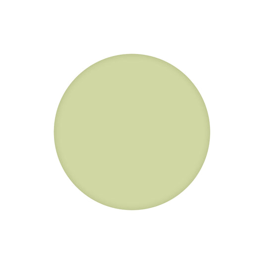 Pistachio Lacquer Dot
