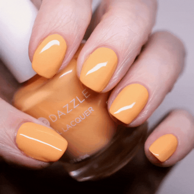 Creamsicle Sorbet Mini