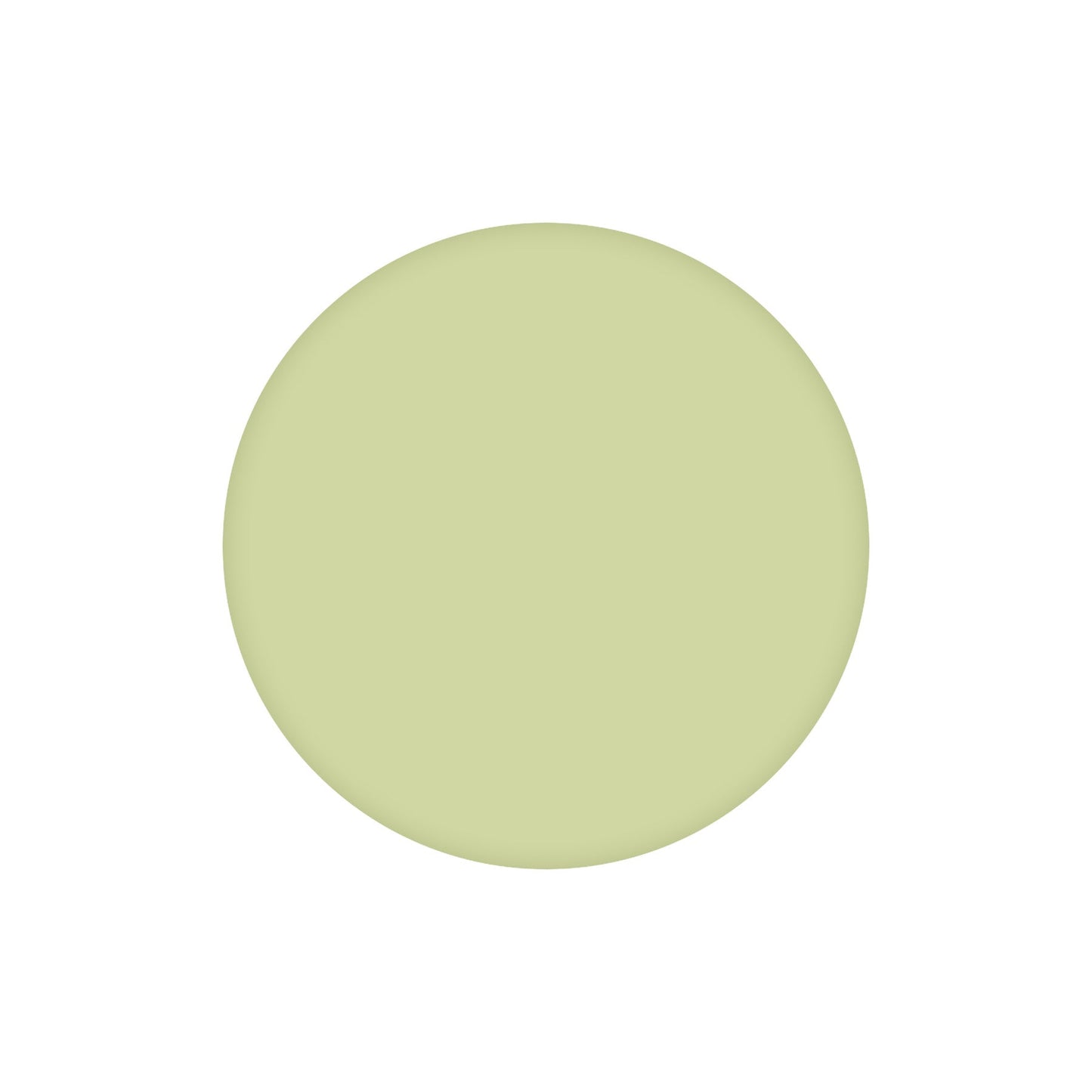 Pistachio Lacquer Dot